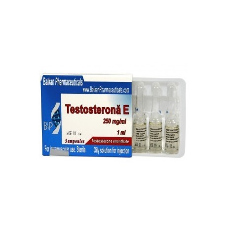 Testosterona E, Testosterone Enanthate, Balkan Pharmaceuticals